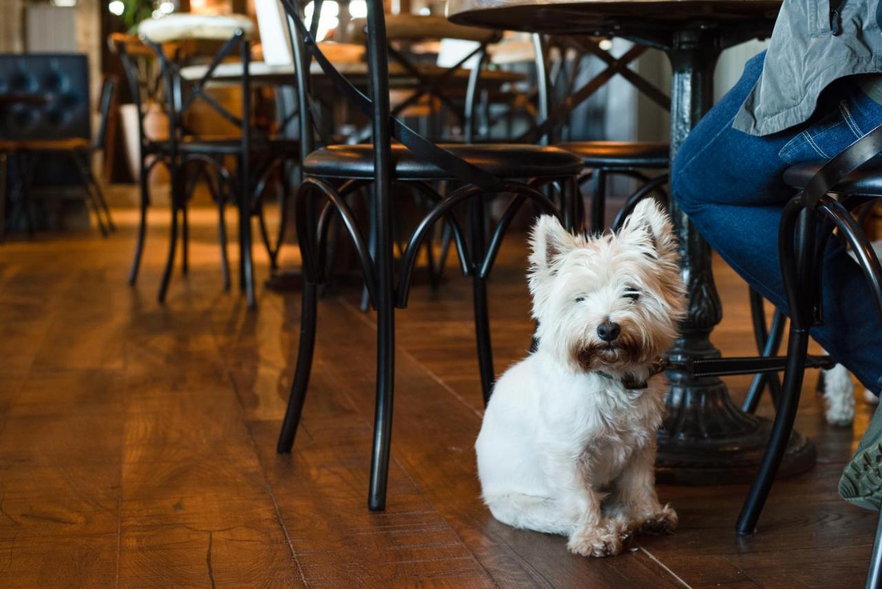 The Seaburn Inn - The Inn Collection Group Sunderland  Bagian luar foto
